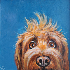 Vilma van den Berg, What's up dog, 175 euro, Acryl op doek in baklijst, 15x15 cm