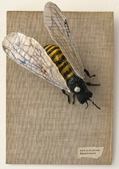 Babette Hofstede, Wesp, 100 euro, Gemengde techniek op kaft van oud boek, 14x22 cm