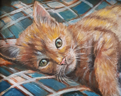 Vilma van den Berg, Waking up kitten, Acryl op doek in houten lijst, 21x25 cm, €.225,-