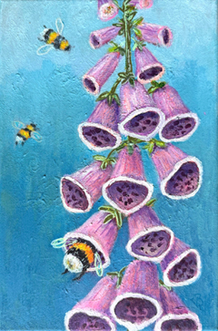 Vilma van den Berg, Hommel op vingerhoedskruid, 245 euro, Acryl op doek in baklijst, 30x20 cm