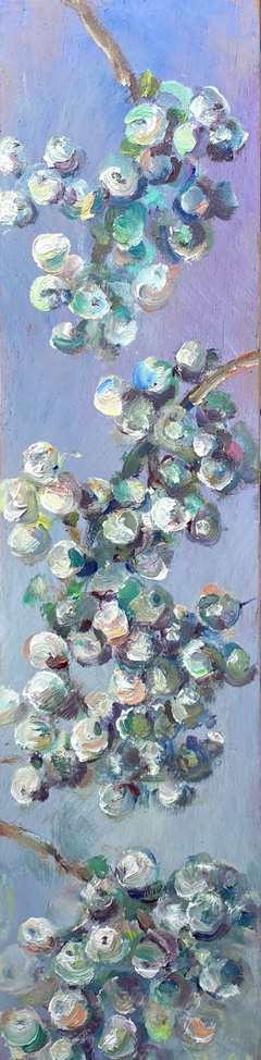 Florentine Haak, Pernettya witte bes, 150 euro, Olieverf op paneel zonder lijst, 33x8 cm
