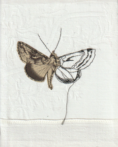 Judith Koning, Gamma uiltje vlinder, 175 euro, Gemengde techniek op damast zonder lijst, 14x17,5 cm
