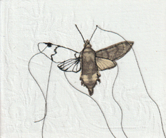 Judith Koning, Kolibrivlinder, 125 euro, Gemengde techniek op damast zonder lijst, 13x15 cm
