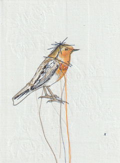 Judith Koning, Roodborst, 125 euro, Mixed media met vintage vogelboek en damast zonder lijst, 24x18 cm