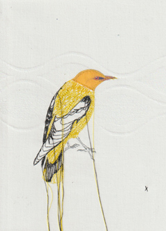 Judith Koning, Wielewaal, 125 euro, Mixed media met vintage vogelboek en damast zonder lijst, 24x18 cm