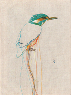 Judith Koning, IJsvogel 2, 125 euro, Gemengde techniek op doek zonder ljist, 24x18 cm