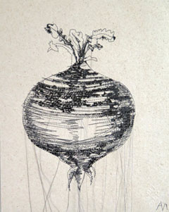 Annelies Morris, Biet, 135 euro, Gemengde techniek met draad en papier zonder lijst, 32x25 cm