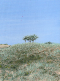 Rada Ovcharova, Duin 1, 325 euro, Acryl op doek in baklijst, 18x24 cm