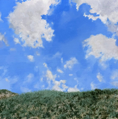 Rada Ovcharova, Duin 3, 475 euro, Acryl op doek in baklijst, 30x30 cm