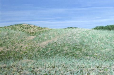 Rada Ovcharova, Duin 8, 750 euro, Mixed Media op paneel in baklijst, 40x60 cm