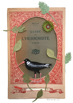 Tamar Rubinstein, Fouragerende vogel, Collage op papier in blankhouten lijst, 29x21 cm, €.195,-