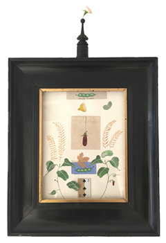 Tamar Rubinstein, Indoor Plants, Gemengde techniek op papier in oude lijst, 38x33 cm, €.195,-