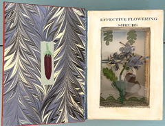 Tamar Rubinstein, Effective Flowering Shrubs, Gemengde techniek in oud boek (kan opgehangen), 20x27x5 cm, €.175,-