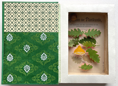 Tamar Rubinstein, Beginselen van de plantenkunst, 195 euro, Gemengde techniek in boek, 20x27 cm