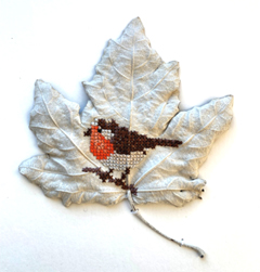 Renee Toonen, Roodborst 2, 225 euro, Kruissteekjes op zilverpopulier in wit houten lijst, 25x25x4 cm