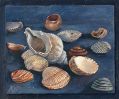 Annemarie Verschoor, Schelpen, 150 euro, Olieverf op paneel zonder lijst, 19x22 cm