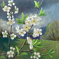 Annemarie Verschoor, Pruimenbloesem, 200 euro, Olieverf op paneeel zonder lijst, 32x32 cm