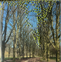 Annette van Waaijen, Vondelpark (bijna voorjaar), 145 euro, Gemengde techniek met foto/borduren in baklijstje, 10x10 cm