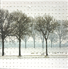 Annette van Waaijen, Once upon a time....(sheep), 295 euro, Gemengde techniek met foto/bordurens in baklijstje, 20x20 cm