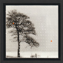 Annette van Waaijen, The Tree, 245 euro, Foto met acrylverf en epoxy in zwarte lijst, 15x15 cm