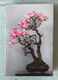 Annette van Waaijen, Bonsai, 75 euro, Mixed Media op paneel zonder lijst,  6x9 cm
