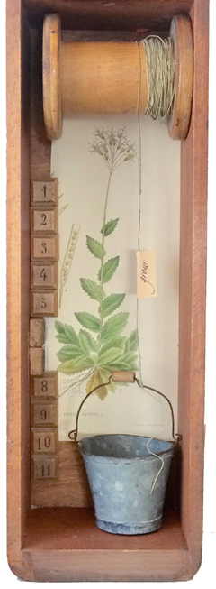Antje Weber, Grow, Gemengde techniek/collage in oude houten doos, 11,5x8,5x35,5 cm, €.130,-