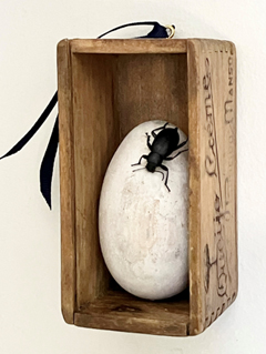 Antje Weber, The Egg, 100 euro, Real bug on a darning egg in an antique cheese box, 6x6x12 cm