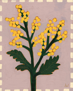 Joelle Wehkamp, Bloem 2 (mimosa), 425 euro, Acryl op paneel in baklijst, 24x30 cm