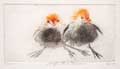 Barbara Wichers Hoeth, 2 Jonge meerkoeten, Kleurets, 24x18 cm, €.175,-
