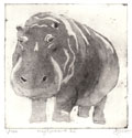 Barbara Wichers Hoeth, Nijlpaard 3, Ets in ijzeren lijst, 25x25 cm, €.195,-