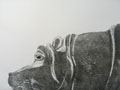 Barbara Wichers Hoeth, Nijlpaard groot, Ets, 30x40 cm, €.240,-