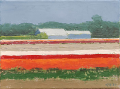 Gineke Zikken, Oranje en Rode Tulpen, 400 euro, Olieverf op doek in baklijst, 18x24 cm