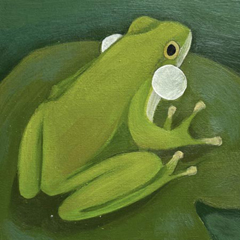 Yvonne Zomerdijk, Kikker 1, 85 euro, Olieverf op paneel zonder lijst, 10x10 (komt een beetje van de muur
