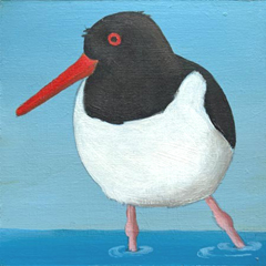 Yvonne Zomerdijk, Scholekster 2, 85 euro, Olieverf op paneel zonder lijst, 10x10 (komt een beetje van de muur