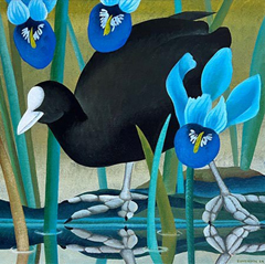 Yvonne Zomerdijk, Meerkoet 2, 875 euro, Olieverf op doek in baklijst, 60x60 cm