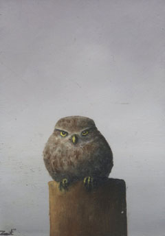 Marc van der Zwet, Klein steenuiltje op grijs, 210 euro, Olieverf op paneel in baklijstje, 8,3x11,2 cm