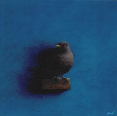 Marc van der Zwet, Merel op vierkant blauw, 380 euro, Olieverf op paneel in witte baklijst, 19,1x19,1 cm