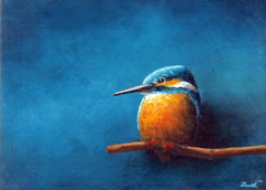 Marc van der Zwet, IJsvogel op tak op blauw, 300 euro, Olieverf op eik zonder lijstje, 14x10 cm