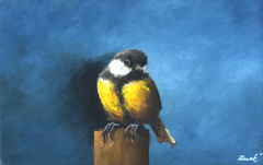 Marc van der Zwet, Koolmees kijkt om, 290 euro, olieverf op paneel in baklijstje, 13,3x8,3 cm