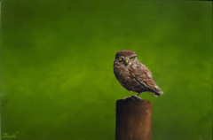 Marc van der Zwet, Kleine steenuil, 300 euro, olieverf op paneel in baklijstje, 14,8x9,9  cm