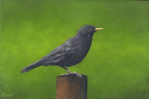 Marc van der Zwet, Wachtende merel op groen, 300 euro, olieverf op paneel in baklijstje, 14,8x9,9 cm