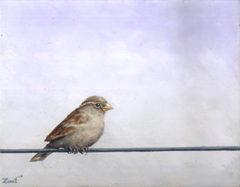 Marc van der Zwet, Wachtende vrouwmus op draad grijs, 340 euro, Olieverf op eik zonder lijst, 15,8x12,4 cm