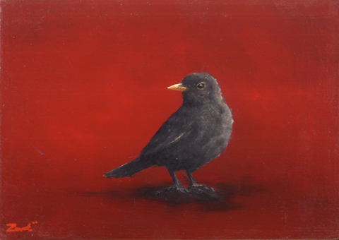 Marc van der Zwet, Merel kijkt om op rood, 320 euro, Olieverf op eik zonder lijst, 15,5x11 cm cm