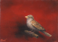 Marc van der Zwet, Vrouwmus op rood takje, 200 euro, Olieverf op eik zonder lijst, 9,4x6,7 cm