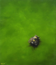 Marc van der Zwet, Kleine Hommel op groen, 370 euro, Olieverf op peneel in witte baklijst, 14,8x17,2 cm