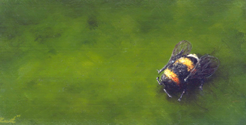 Marc van der Zwet, Verbaasde hommel liggend op groen, 250 euro, Olieverf op eik zonder lijst, 16,2x8,1x3 cm