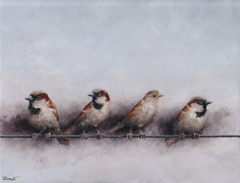 Marc van der Zwet, 4 mussen op draad, 520 euro, Olieverf in witte baklijst lijst, 20,6x15,8 cm